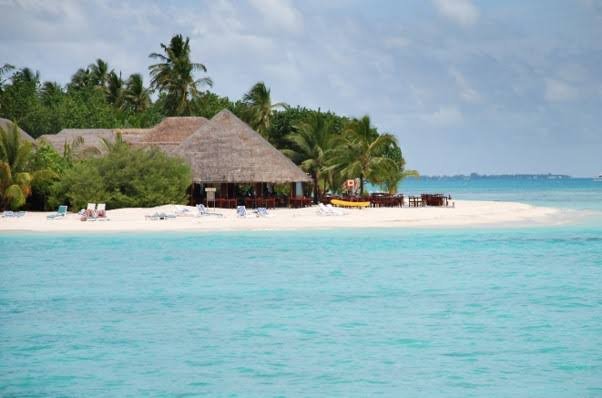 Vaadhoo Island Bioluminescent Beach