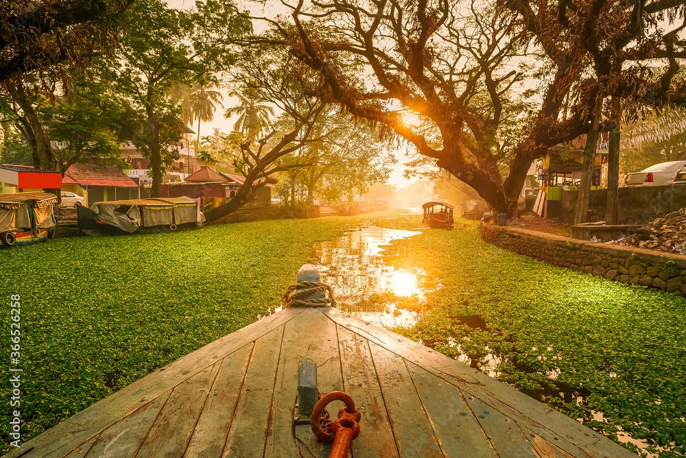 Backwaters of Kerala (Alleppey)